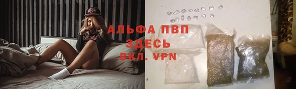 винт Алексин