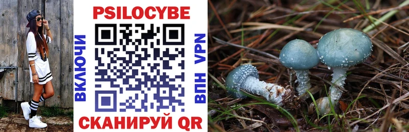 Галлюциногенные грибы Psilocybe  Рошаль 